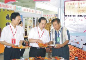 原安陽市市長董永安、副市長陳明今到公司調(diào)研